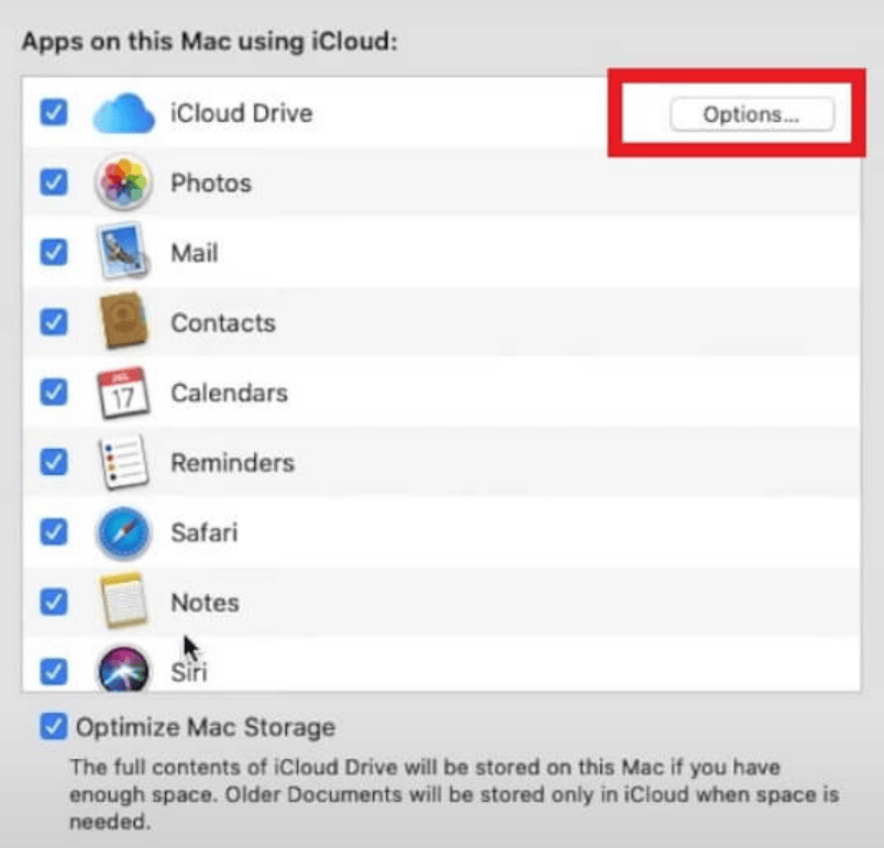Click iCloud on the Apple ID page.