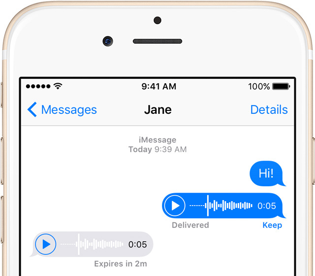 the screenshot of audio message on iPhone