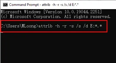 command prompt line