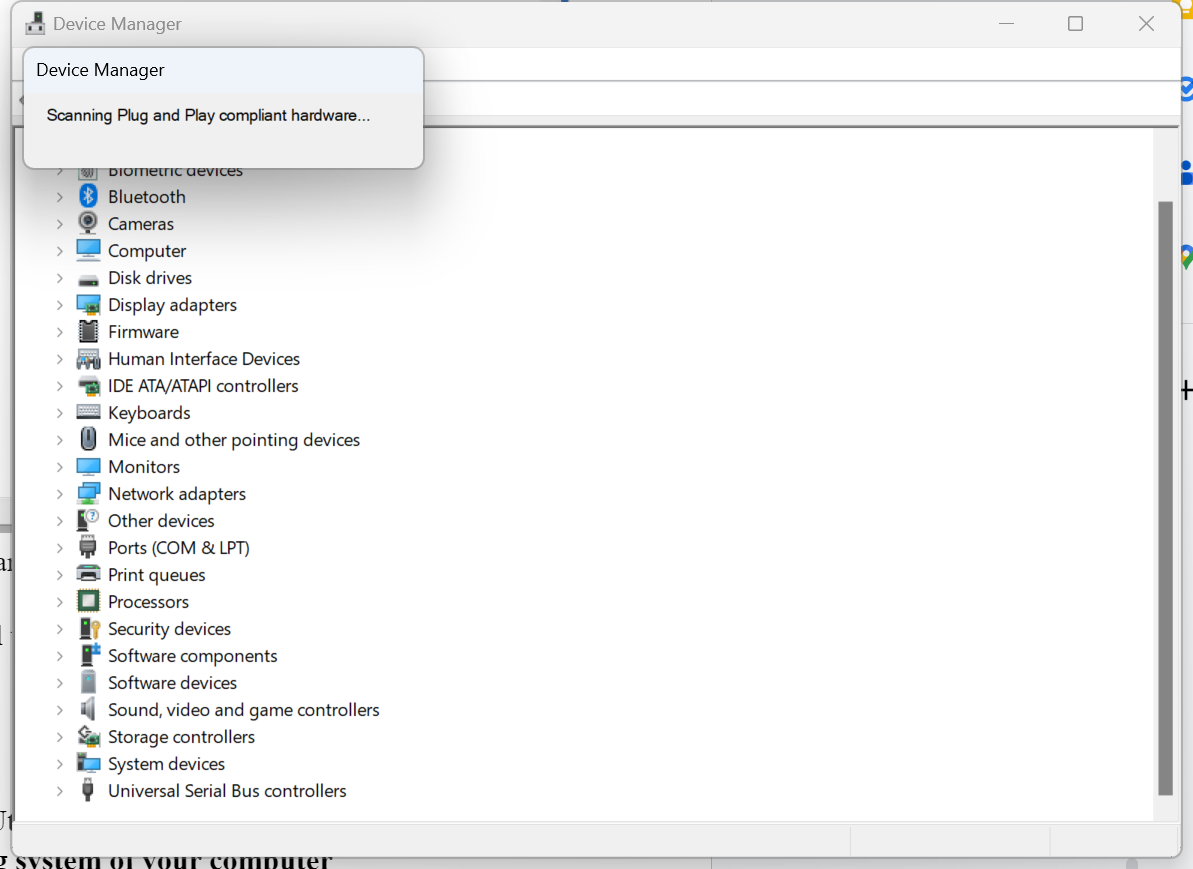 a screenshot of Device Manager