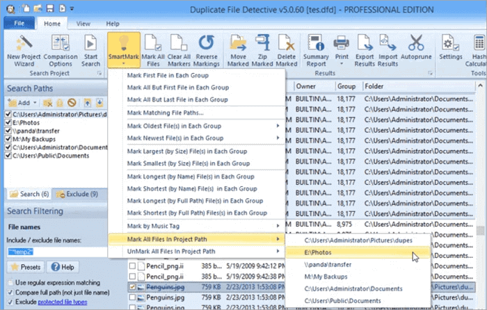 duplicate file detective