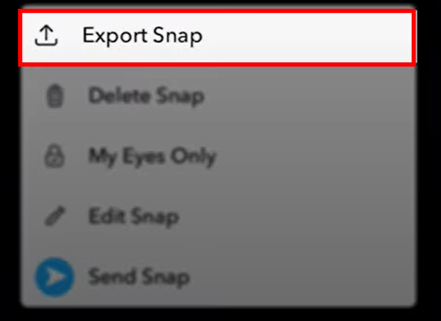export snapchat