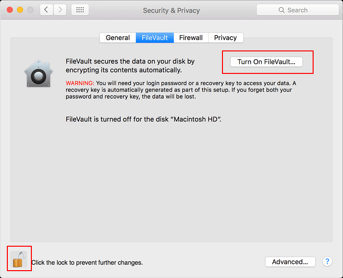 Log in and click the Turn on FileVault button.
