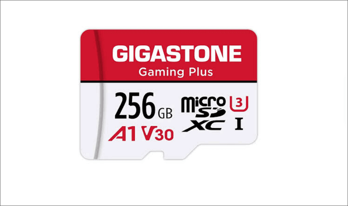 gigastone 256gb micro sd card