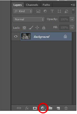 Select Solid Color on Photoshop