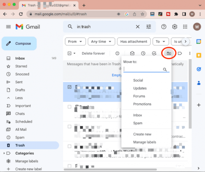 the screenshot: the move to button on gmail