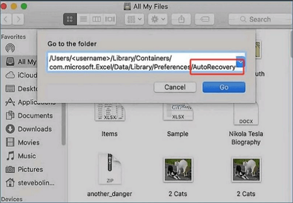 open mac autorecovery folder