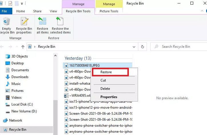 recover data from recycle bin