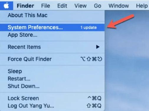 Click System Preferences