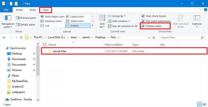 using File Explorer to view hidden items